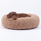 Cama para Perro Nube Beige
