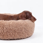 Cama para Perro Nube Beige