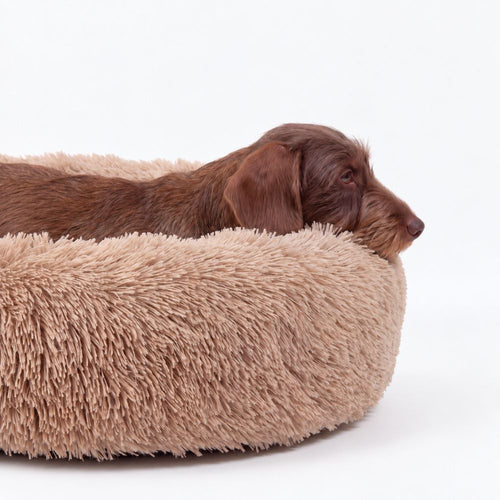 Cama para Perro Nube Beige