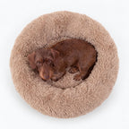 Cama para Perro Nube Beige