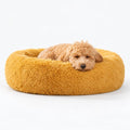 Cama para Perro Nube Miel