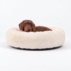 Cama para Perro Nube Crema