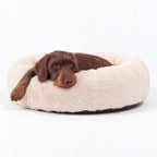Cama para Perro Nube Crema