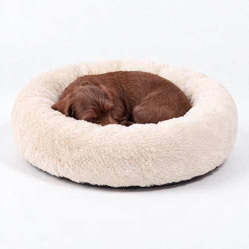 Cama para Perro Nube Crema