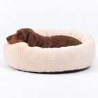 Cama para Perro Nube Crema