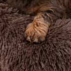 Cama para Perro Nube Marron