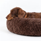 Cama para Perro Nube Marron