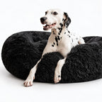 Cama para Perro Nube Negra
