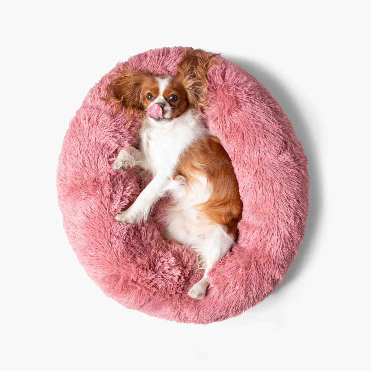 Cama para Perro Nube Rosa