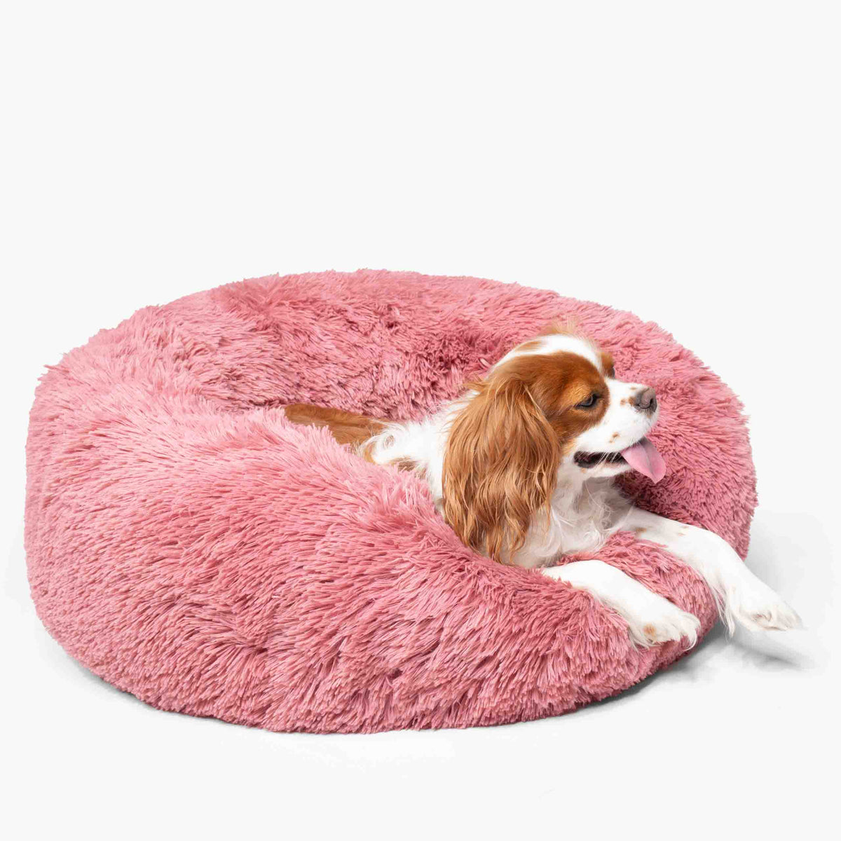 Cama para Perro Nube Rosa