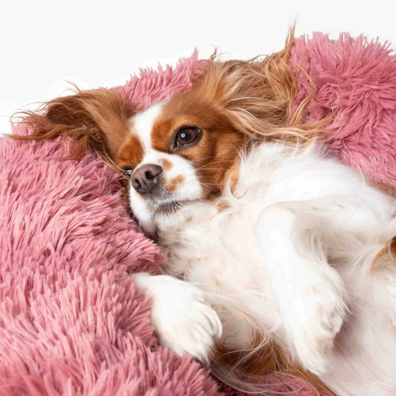 Cama para Perro Nube Rosa