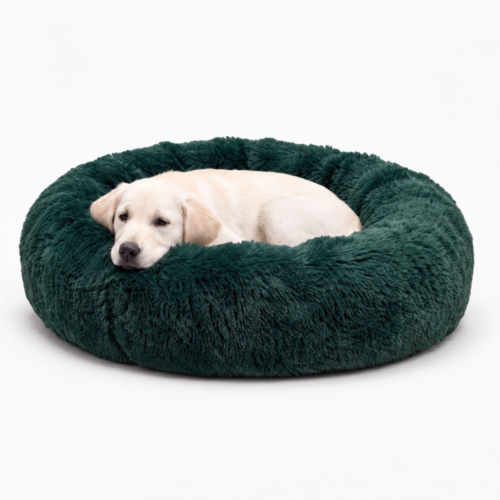 Cama para Perro Nube Verde botella