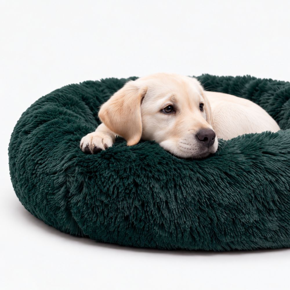 Cama para Perro Nube Verde botella