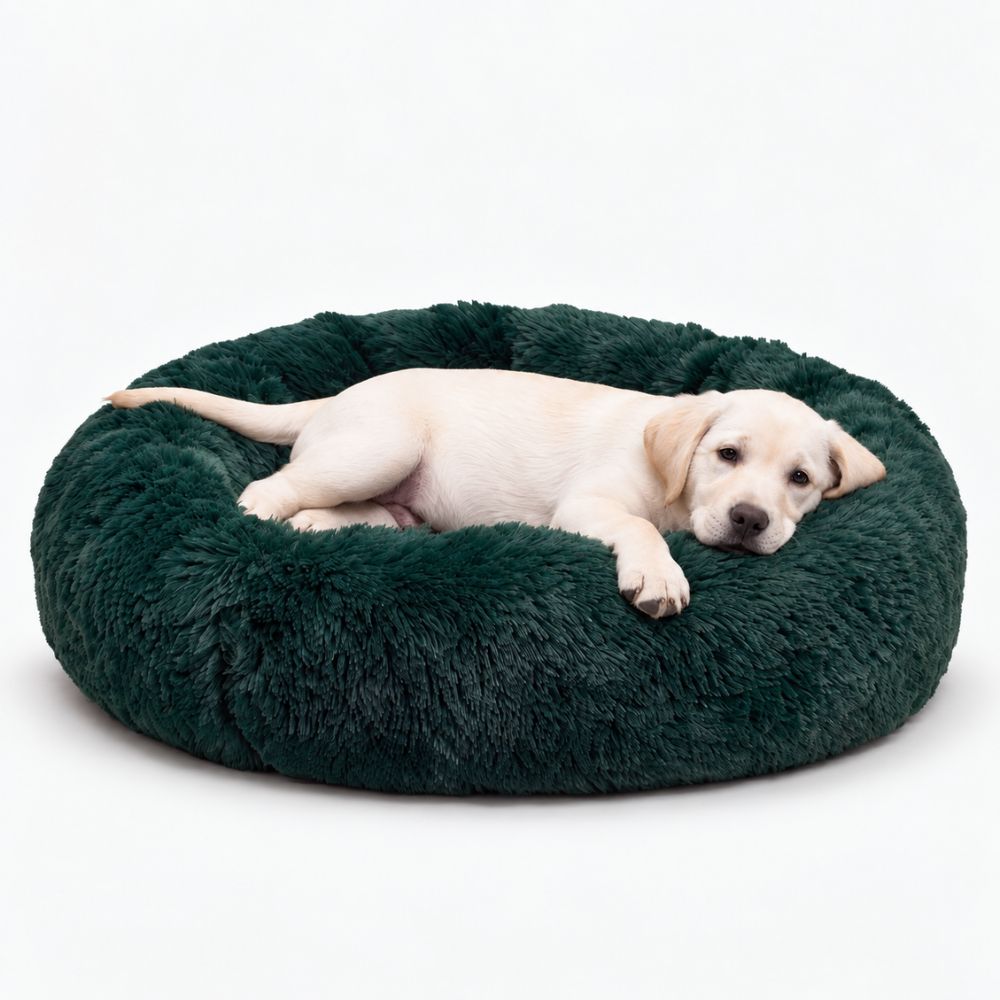Cama para Perro Nube Verde botella