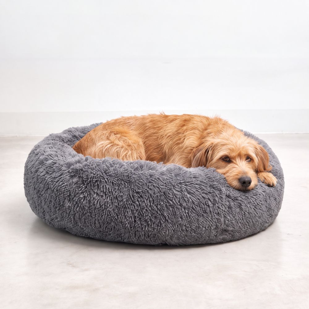 Primer plano de un perro apoyando la cabeza en el borde suave de la cama NUBE