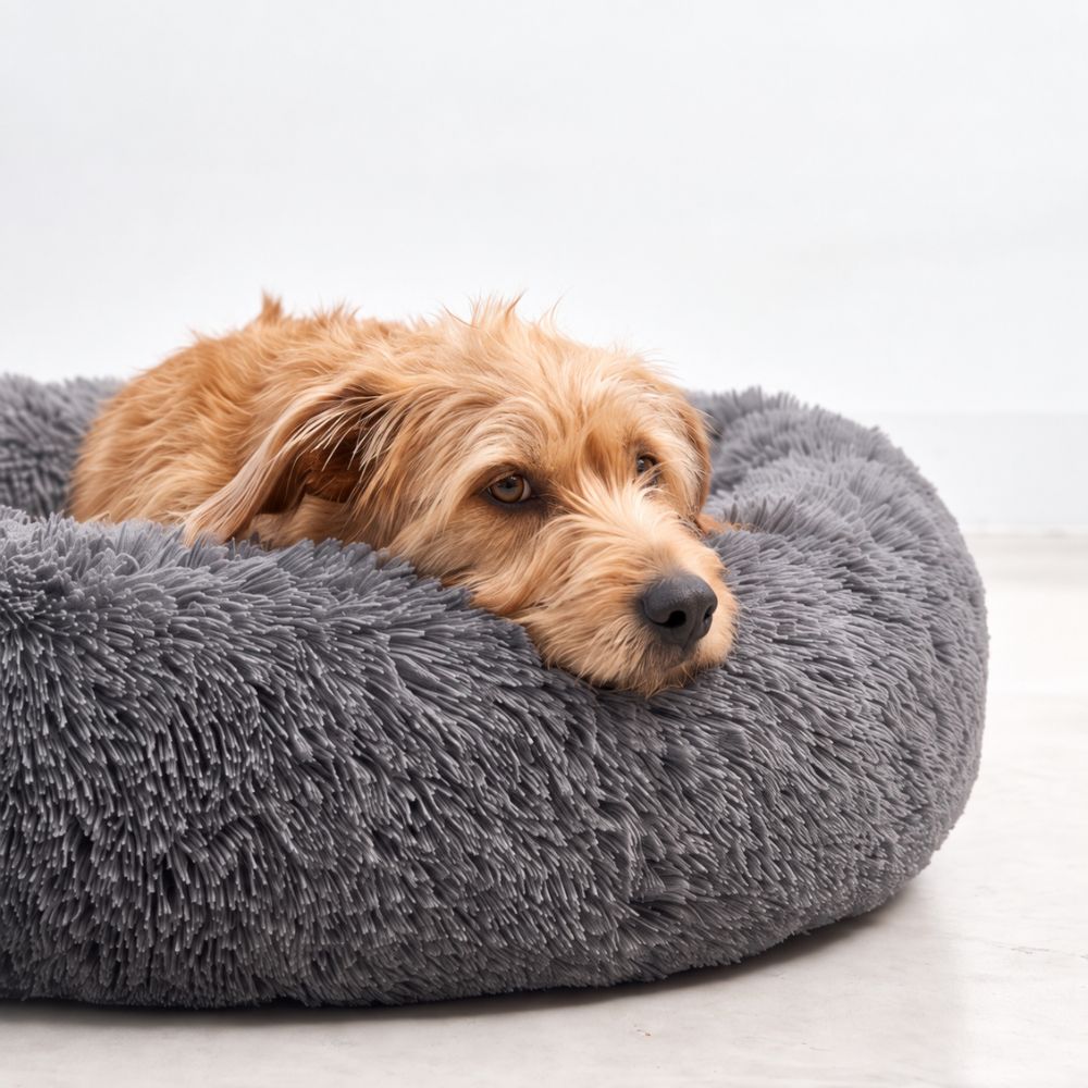 Perro descansando en la suave cama NUBE para perro en gris oscuro
