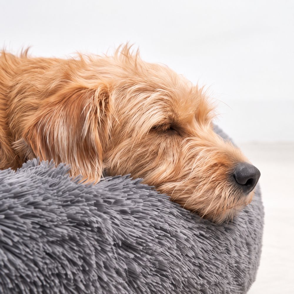 Cama para Perro Nube Gris Oscuro