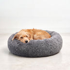 Perro descansando en la cama NUBE para perro en gris oscuro