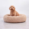 Cama para Perro Nube Beige