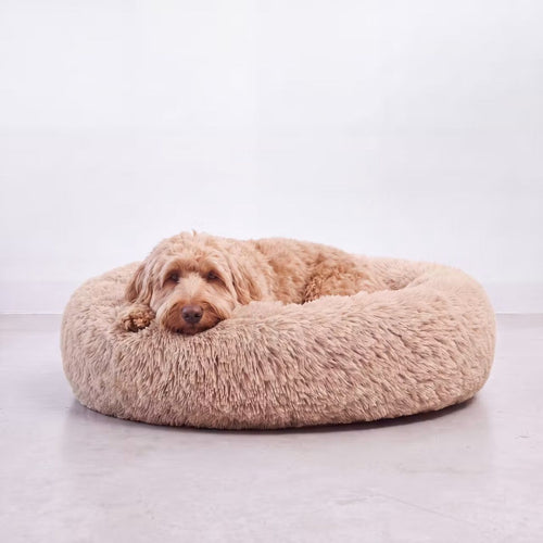 Cama para Perro Nube Beige