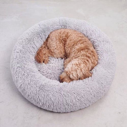Cama para perro tipo donut gris y mullida vista desde arriba, con perro descansando
