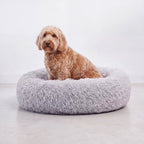 Cama redonda de peluche gris para perro con un perro sentado, foto de estudio