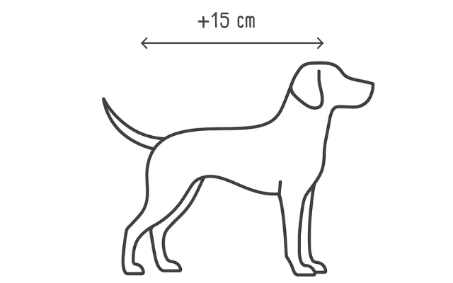 Cómo medir a tu perro